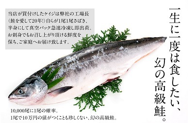 1万分の1　幻の鮭　鮭児　ケイジ　高すぎる　食べてみたい　スッキリ！！