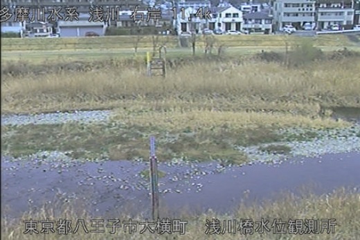 浅川が干上がる？東京都下（八王子・日野）で30年に1度の「瀬切れ」がもたらす静かな危機